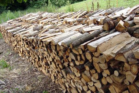 Birke, Sonstiges Holz, Eiche