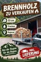 Brennholz Buche Golling an der Salzach