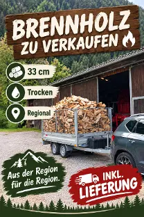 Brennholz Brennholz Buche