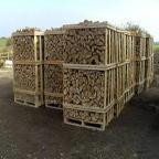 Brennholz Buche Rust