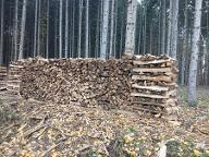 Brennholz Eiche, Buche