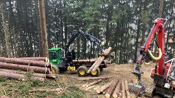 Forst und Gartenservice Fritzl Patrick (Aufforstung, Wegebau, Holzernte & Rückung, Baumabtragung/-pflege) St.Andrä