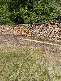 Brennholz Brennholz Buche