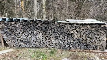 Brennholz Brennholz Esche