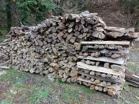 Brennholz Brennholz Esche, Eiche, Buche