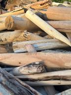 Brennholz Pappel, Buche