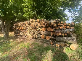 Brennholz Brennholz Esche, Eiche, Buche (Holz aus Mischwald)