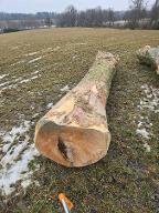 Rundholz Ahorn Geboltskirchen