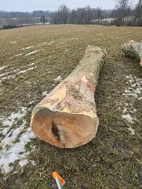 Rundholz Rundholz Ahorn
