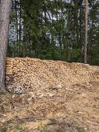 Brennholz Esche, Buche