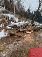 Brennholz Apfel, Pflaume/Zwetschke, Kirsche Zum selbstaufarbeiten Eitweg