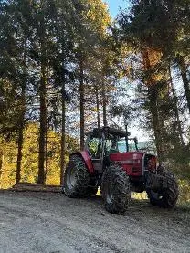 Dienstleistung Fersterer Holzschlägerung (Aufforstung, sonstige forstliche Dienstleistung, Holzernte & Rückung, Baumabtragung/-pflege, Jungwaldpflege)