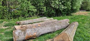 Rundholz Esche Astrein Piberbach