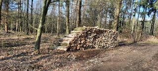 Brennholz Eiche, Buche