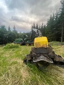 Dienstleistung Holzernte Gruber 