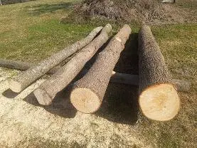 Rundholz Rundholz Linde