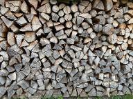 Brennholz Fichte Waidhofen an der Ybbs