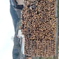 Brennholz Brennholz Fichte