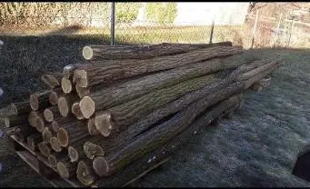 Rundholz Rundholz Sonstiges Holz Akazie/Robinie gesucht