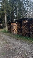 Brennholz Fichte