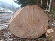 Rundholz Fichte Oberwang