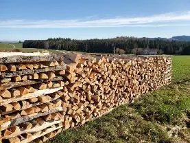 Brennholz Brennholz Eiche Lieferbar