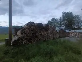 Brennholz Brennholz Esche, Sonstiges Holz, Buche Ofenfertig oder 1m
