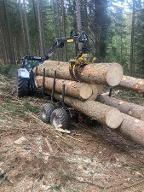 Rundholz Fichte Bauholz aus Höhenlage, ruhig gewachsen