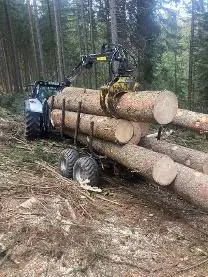 Rundholz Rundholz Fichte Bauholz aus Höhenlage, ruhig gewachsen