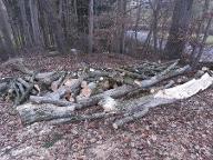 Rundholz Sonstiges Holz Hainbuche Stamm und Teile zum Drechseln
