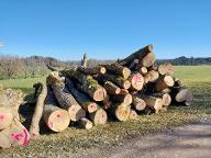 Rundholz Esche Brennholz Ottobeuren 