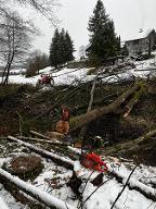 Rundholz Sonstiges Holz