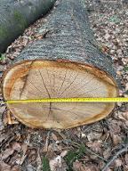 Rundholz Kirsche Markt Hartmannsdorf 