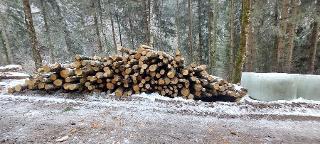 Rundholz Rundholz Birke