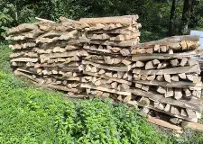 Brennholz Esche, Buche Hittisau