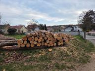 Rundholz Kiefer Langenlois