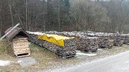 Brennholz Buche