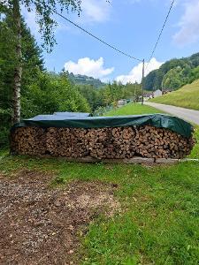 Brennholz Esche, Ahorn