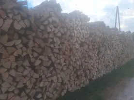 Brennholz Brennholz Buche