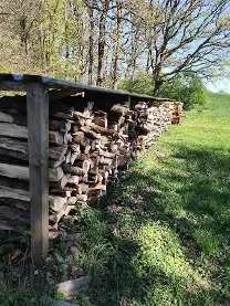 Brennholz Brennholz Buche verschiedene Längen