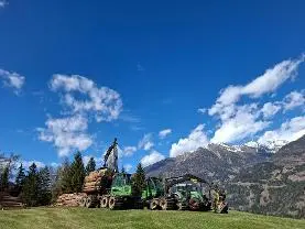 Dienstleistung Holzschlägerung und Bringung (Holzernte & Rückung)