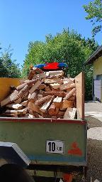Brennholz Fichte