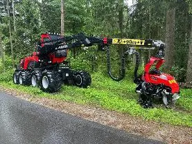 Dienstleistung Dorr Forestry e.U. (Stefan Dorr)