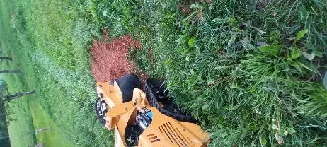 Dienstleistung Nussbaumer Landschaftsbau und Pflege