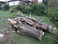 Rundholz Nuss Walnussholz