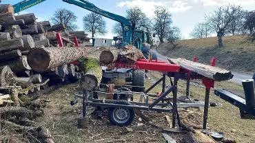 Brennholz Brennholz Fichte, Esche