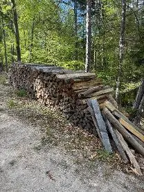 Brennholz Brennholz Buche