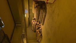 Rundholz Tanne Gerade gewachsen Trier