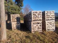 Brennholz Birke, Buche