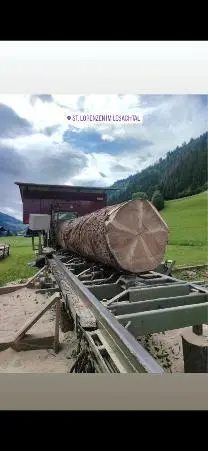 Dienstleistung Mobilsägewerk Oberluggauer (Sägewerk)